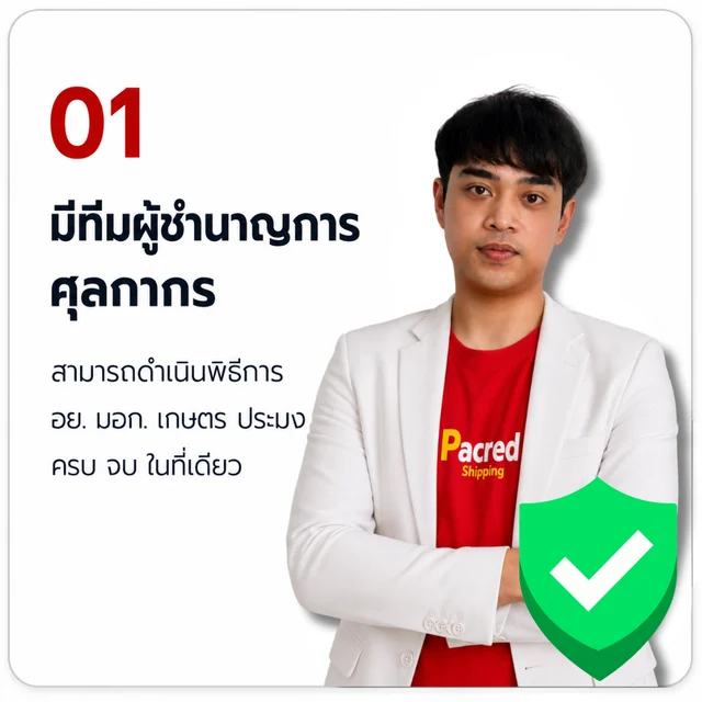 01 มีทีมผู้ชำนาญการศุลกากร — ดำเนินพิธีการ อย. · มอก. · เกษตร · ประมง ครบ จบ ในที่เดียว — บริการนำเข้าสินค้าจากจีน เหมาตู้ FCL กับ Pacred Shipping